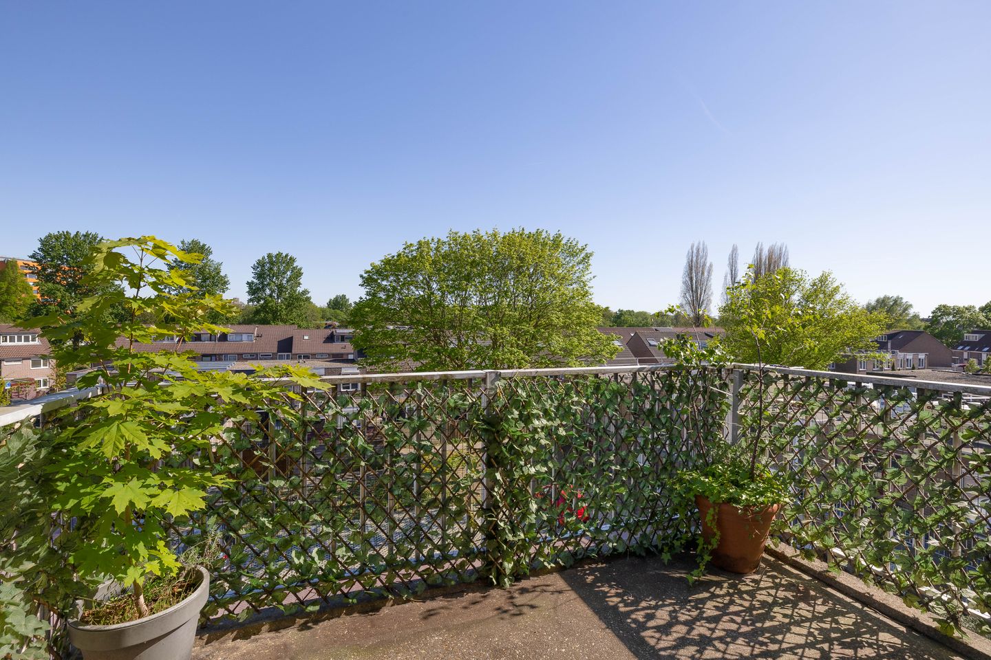 Photo 4 of Ringspoor 128