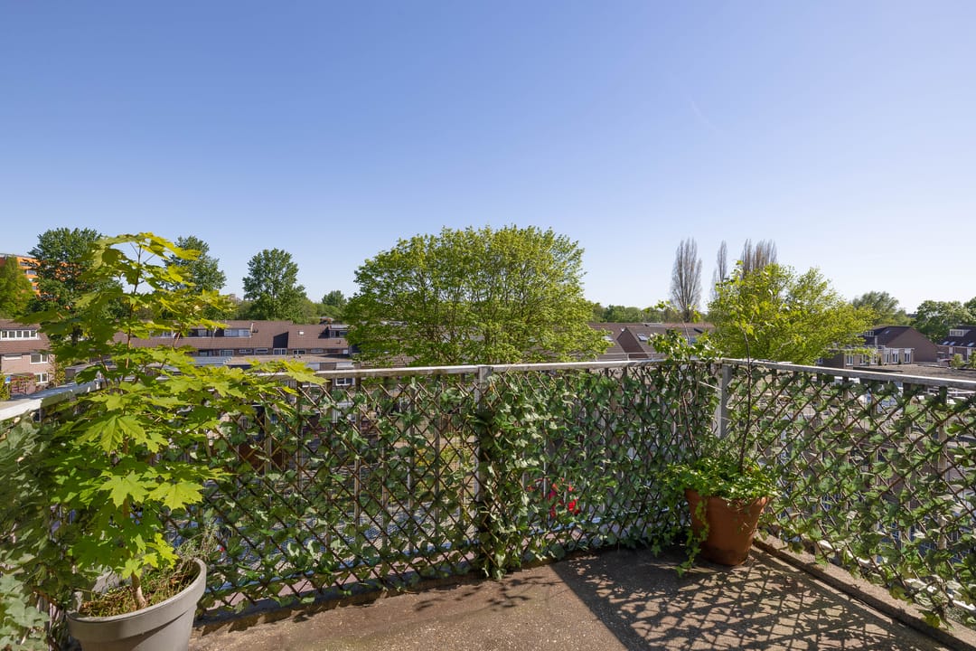 Photo 28 of Ringspoor 128