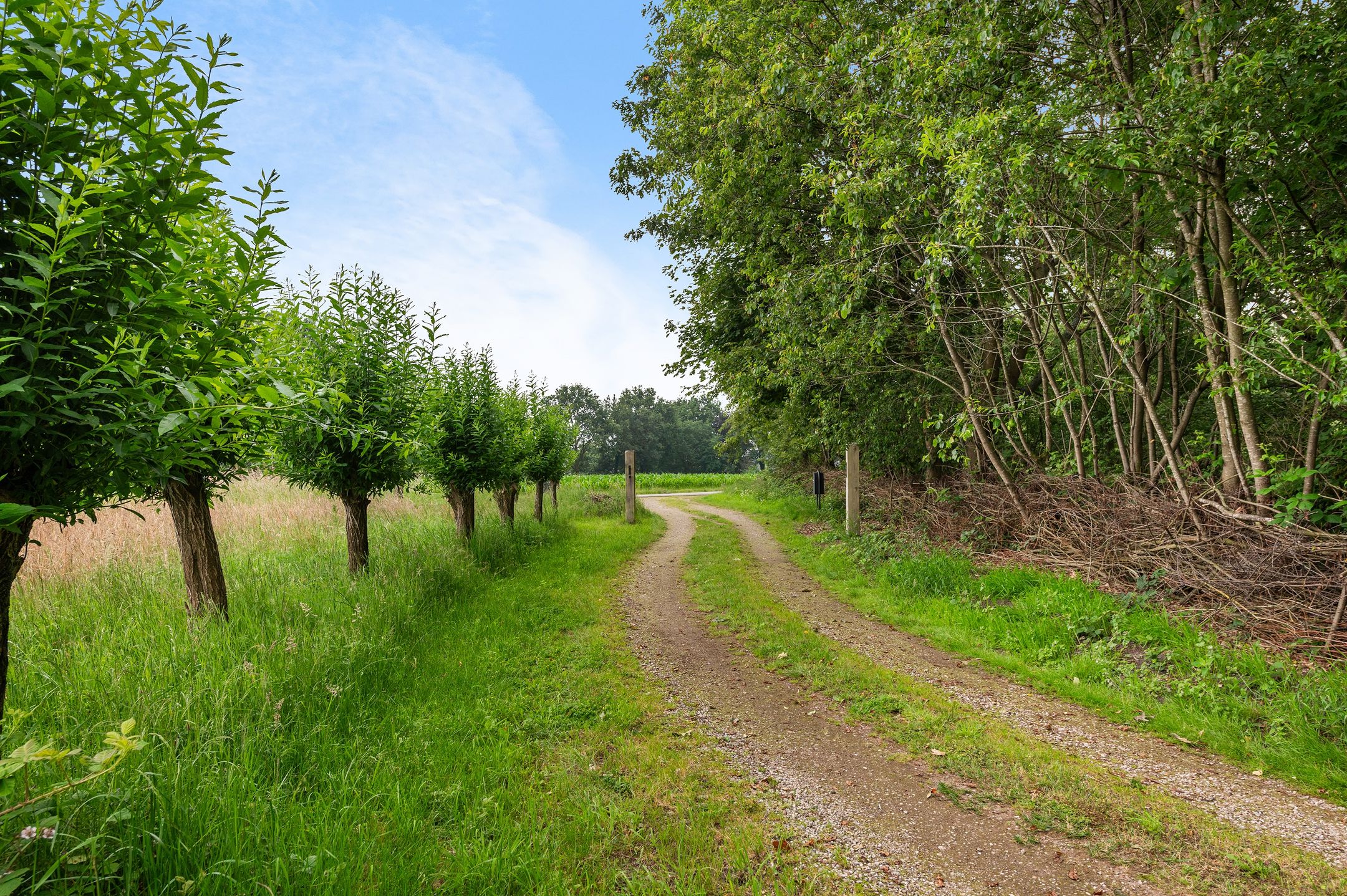 Photo 24 of Mosselseweg 1