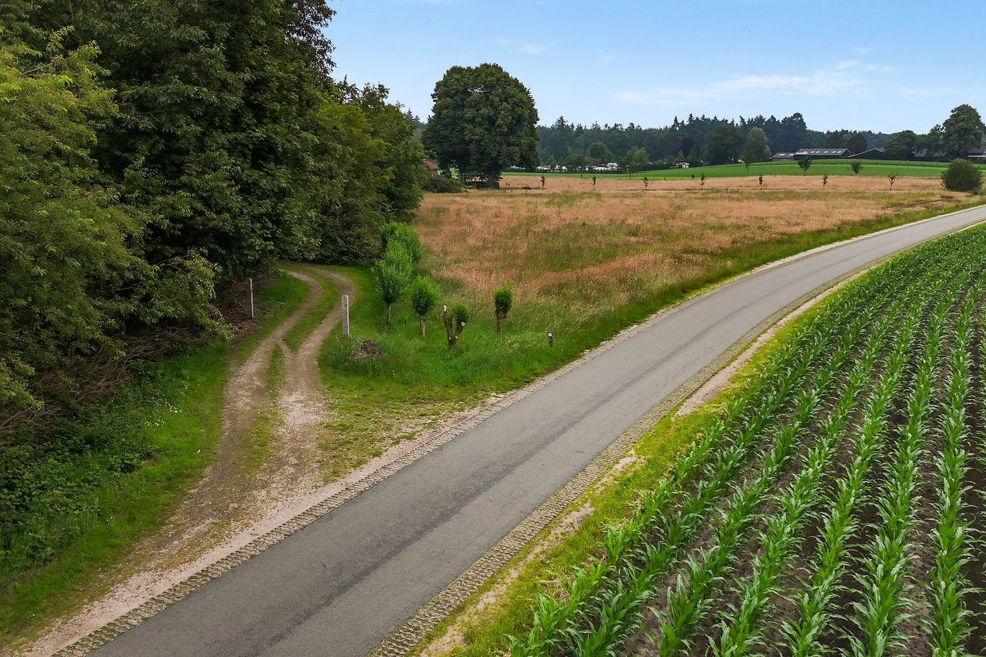 Photo 5 of Mosselseweg 1