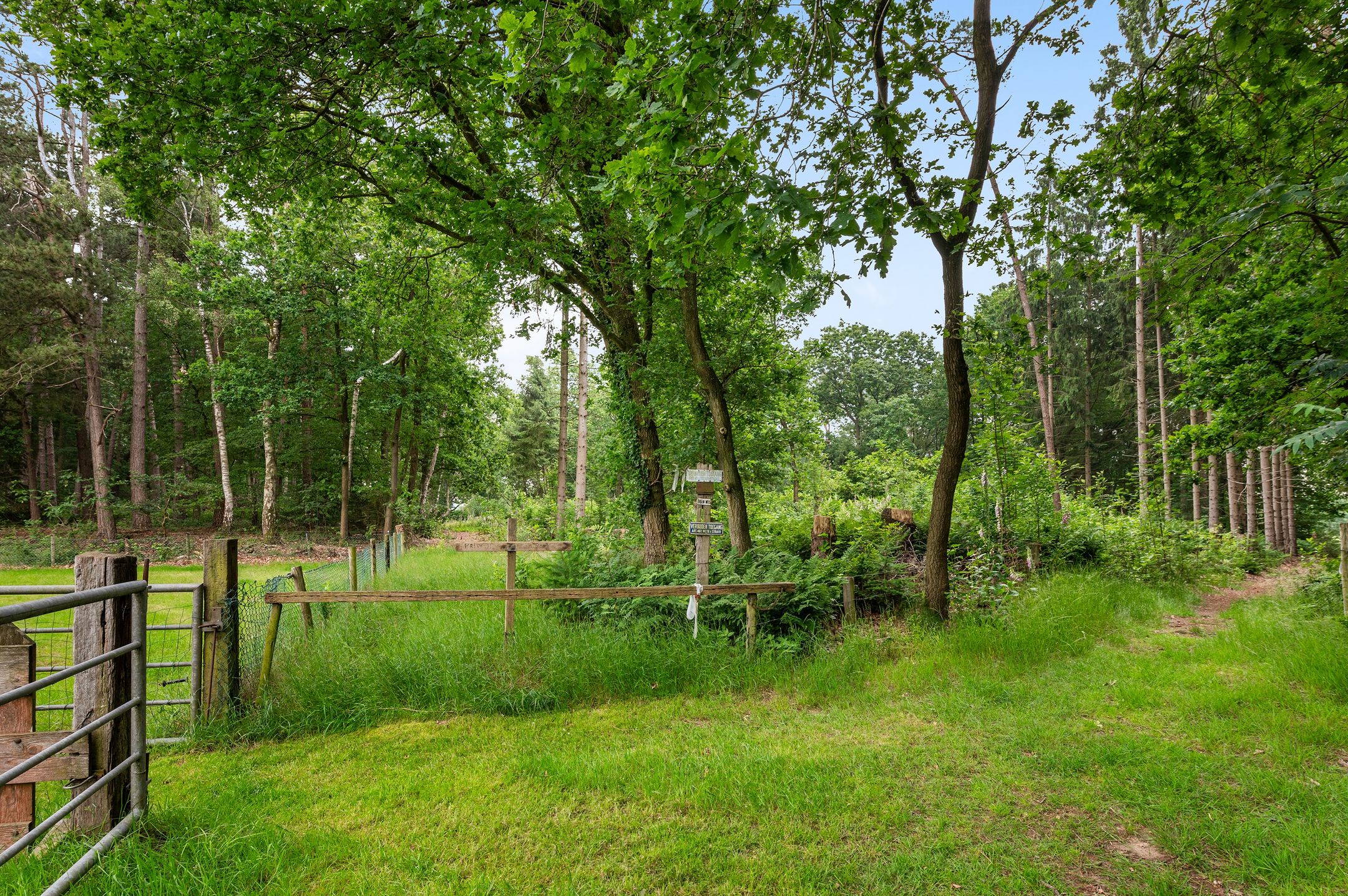 Photo 15 of Mosselseweg 1