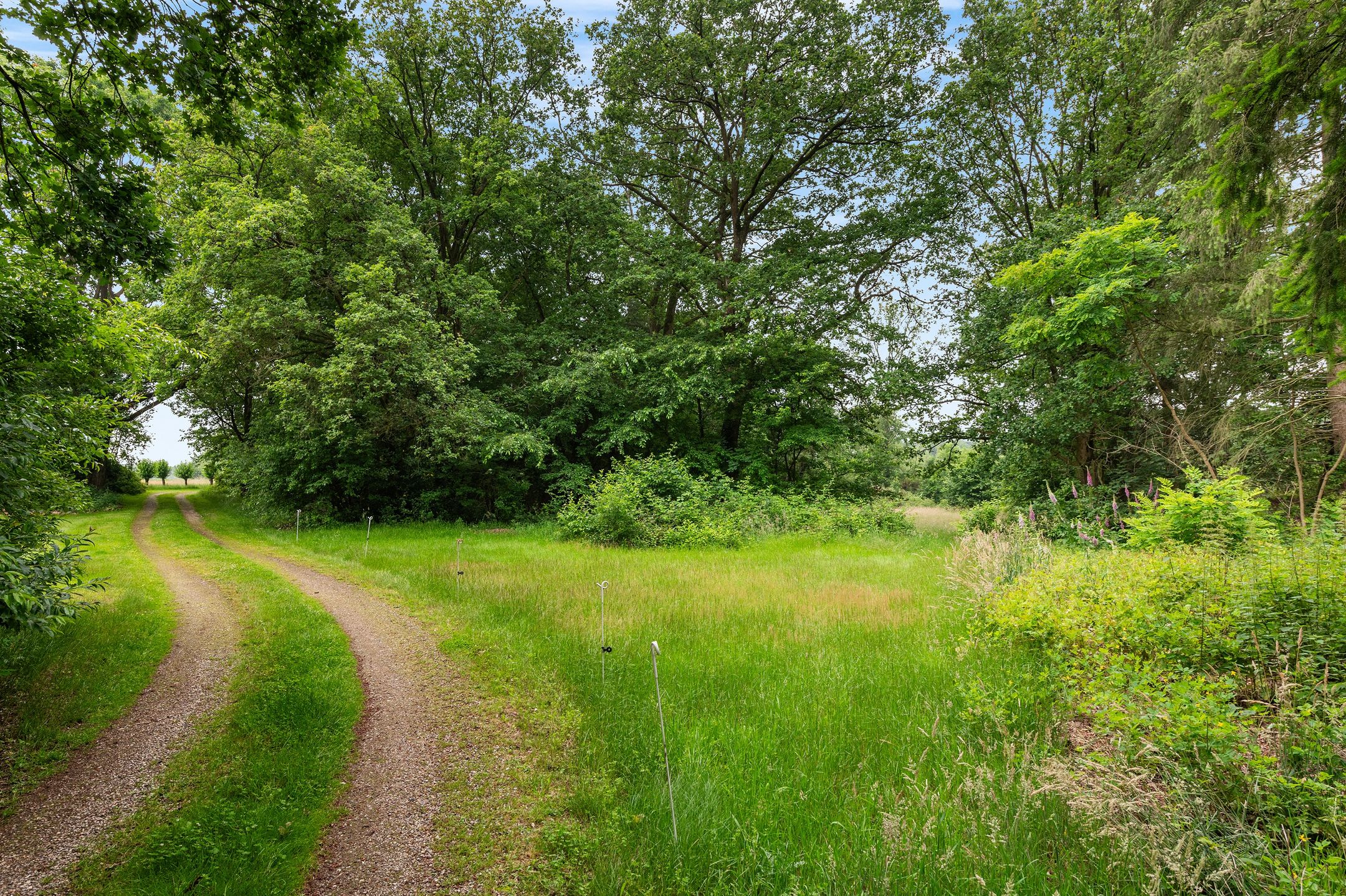 Photo 21 of Mosselseweg 1