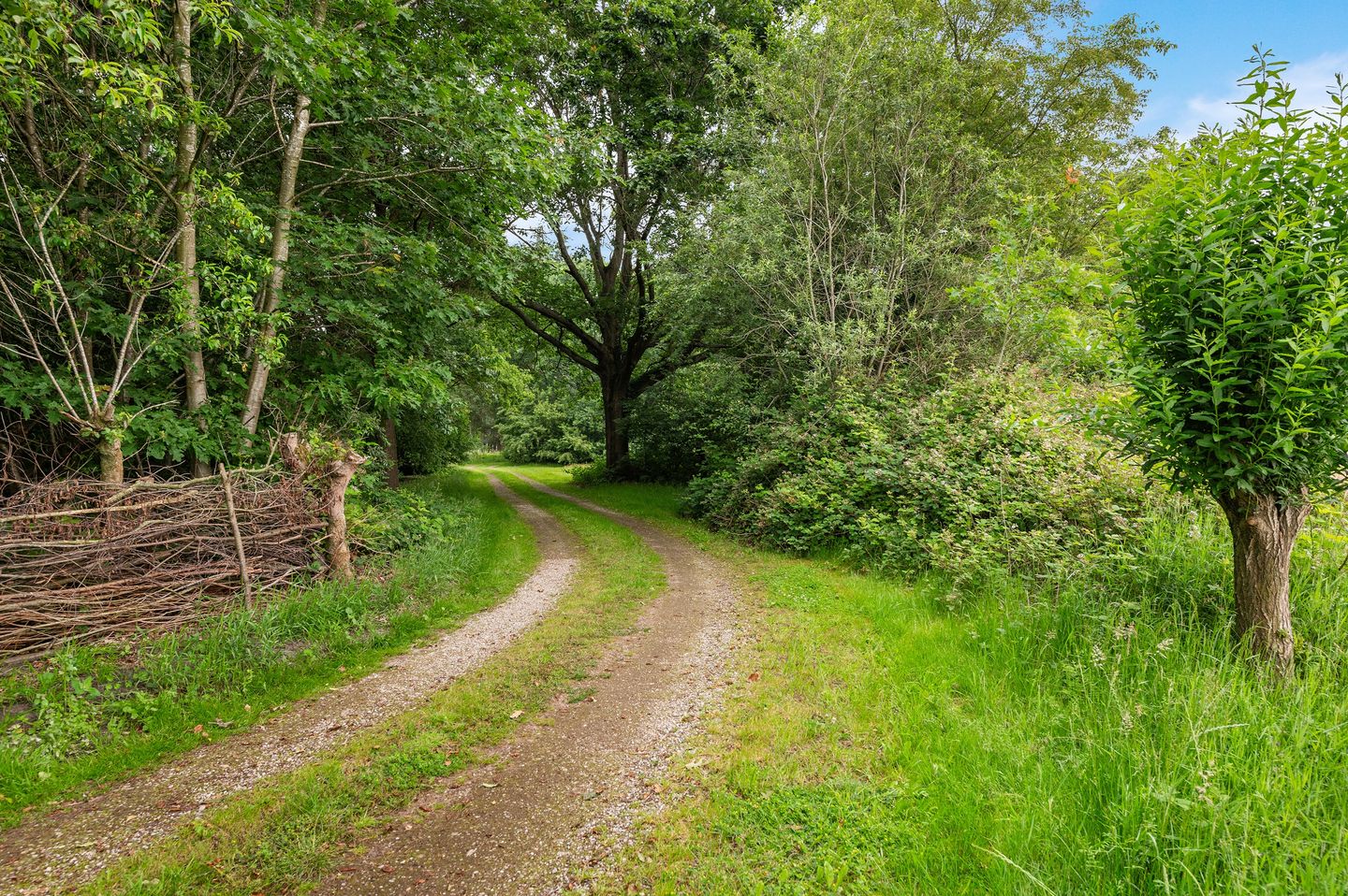 Photo 25 of Mosselseweg 1