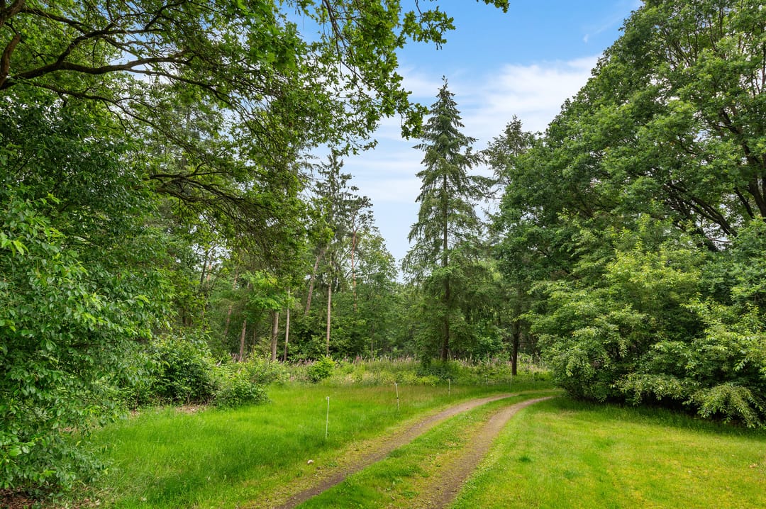 Photo 22 of Mosselseweg 1