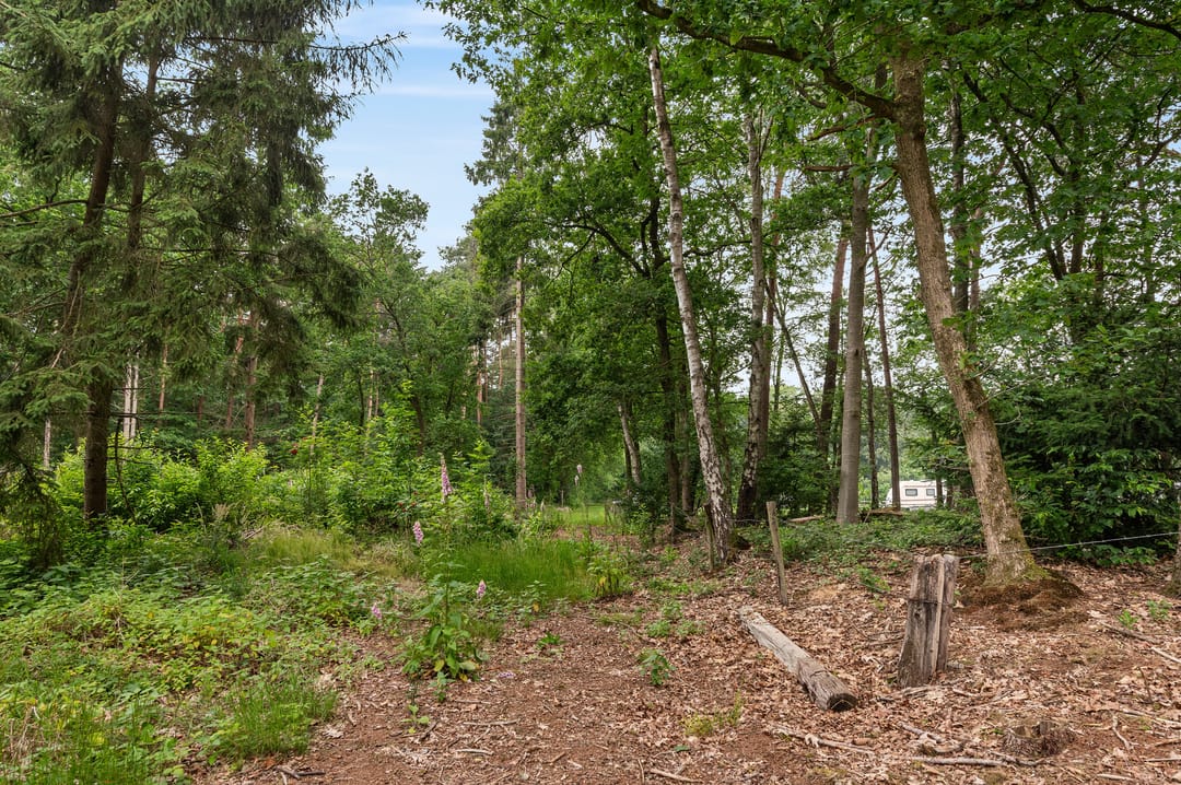 Photo 13 of Mosselseweg 1