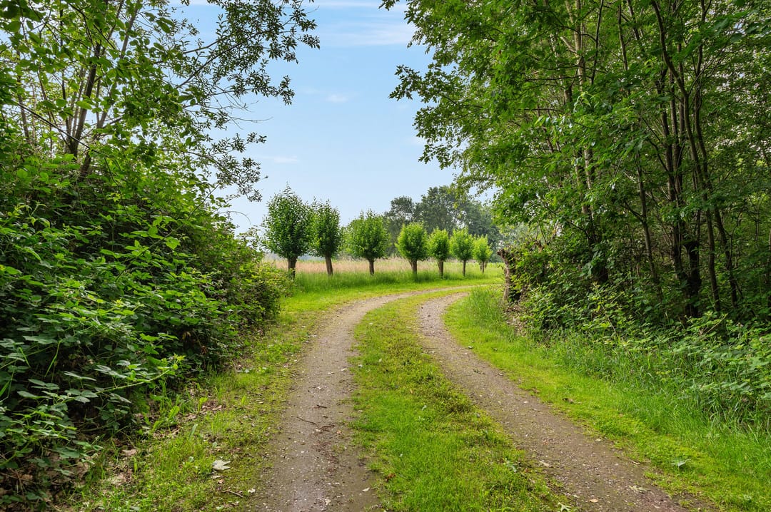 Photo 23 of Mosselseweg 1