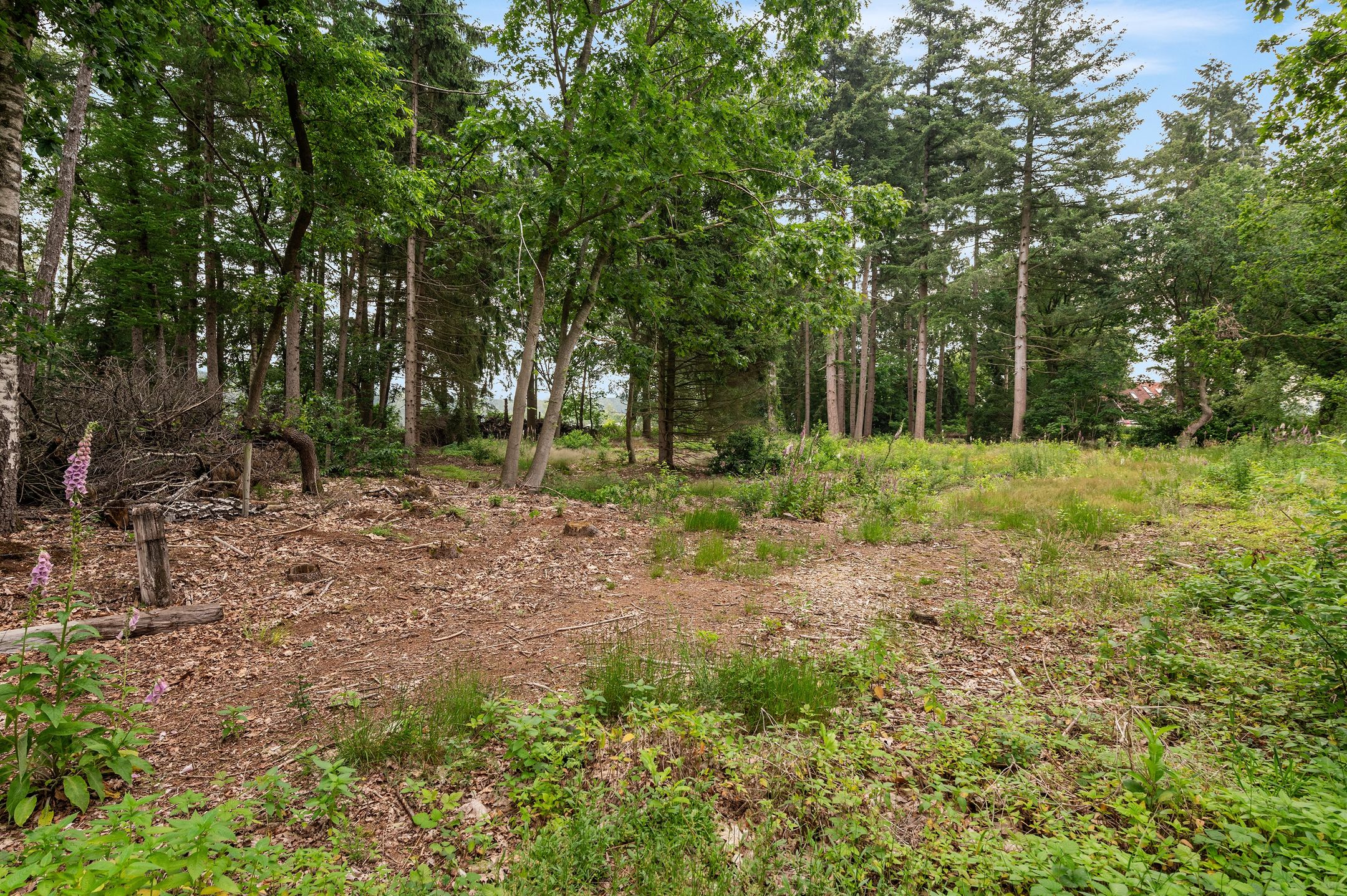 Photo 12 of Mosselseweg 1