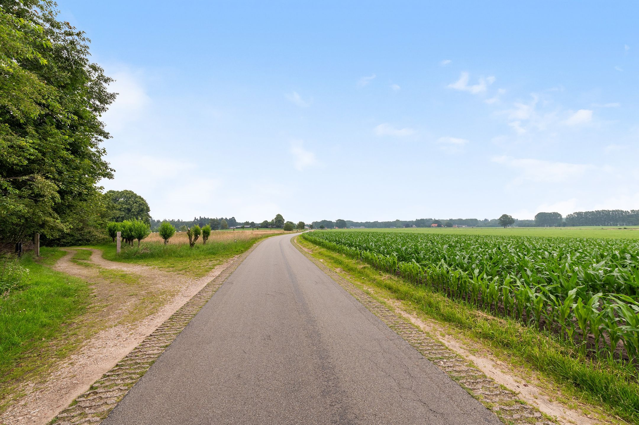 Photo 27 of Mosselseweg 1
