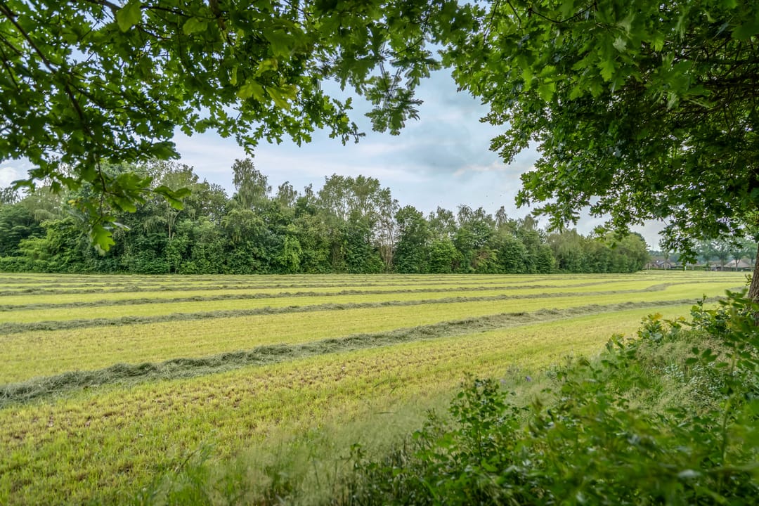Photo 11 of Heetveld 1-R42