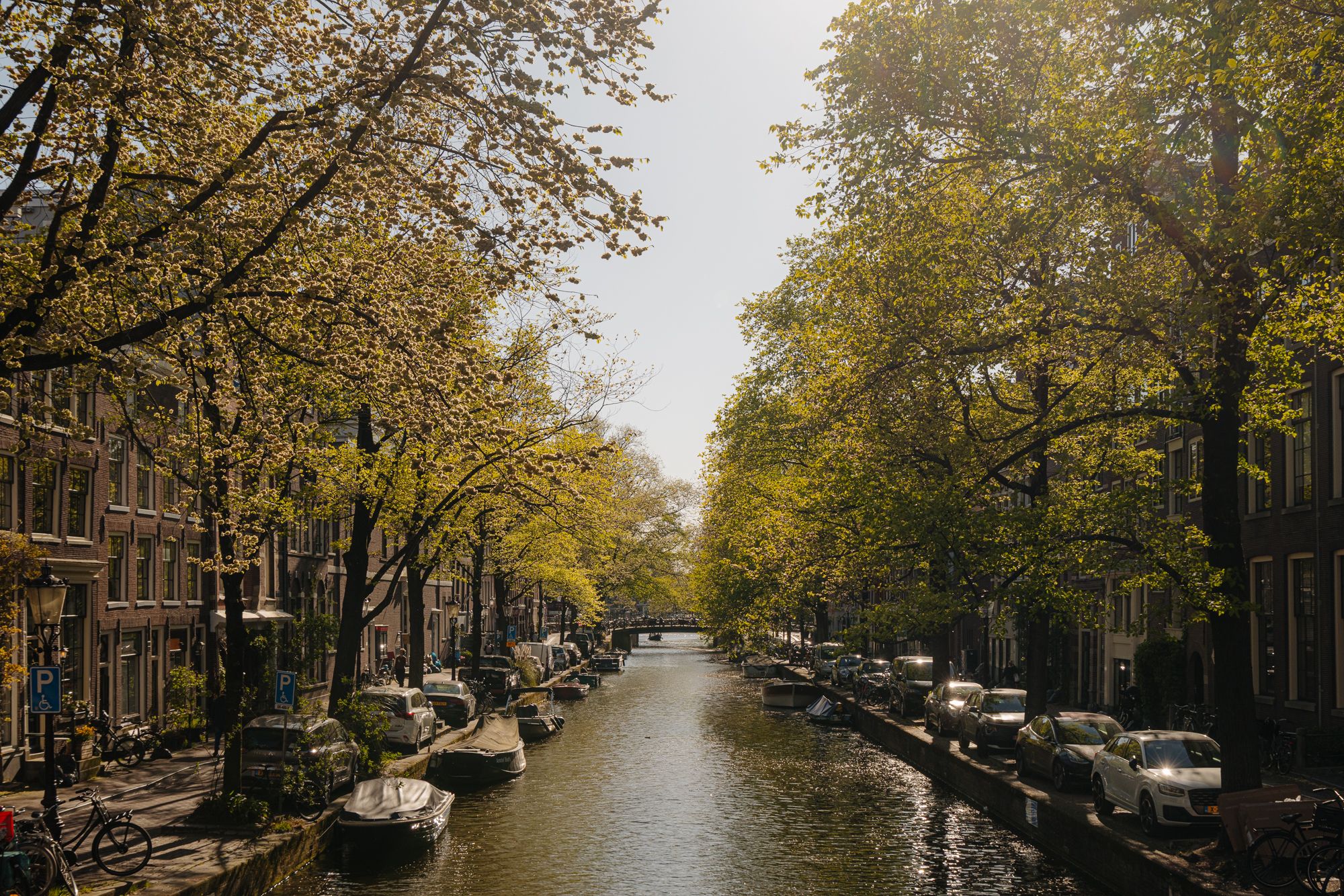 Photo 51 of Lauriergracht 39