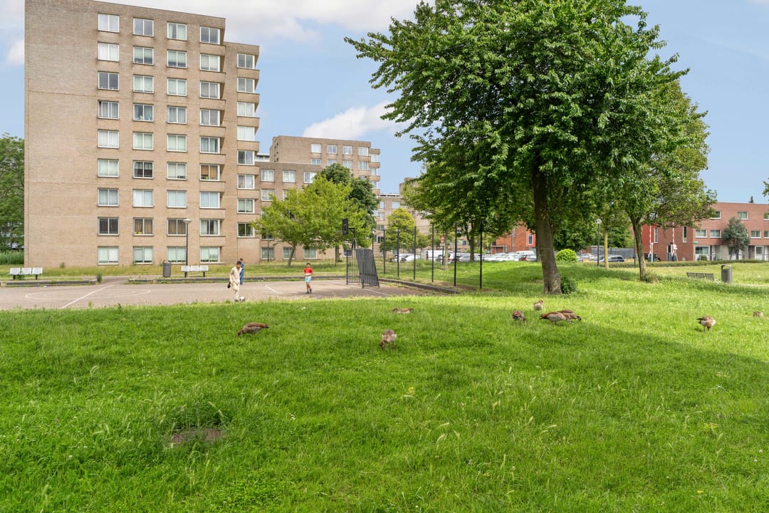 Foto 46 van Raden Adjeng Kartinistraat 15
