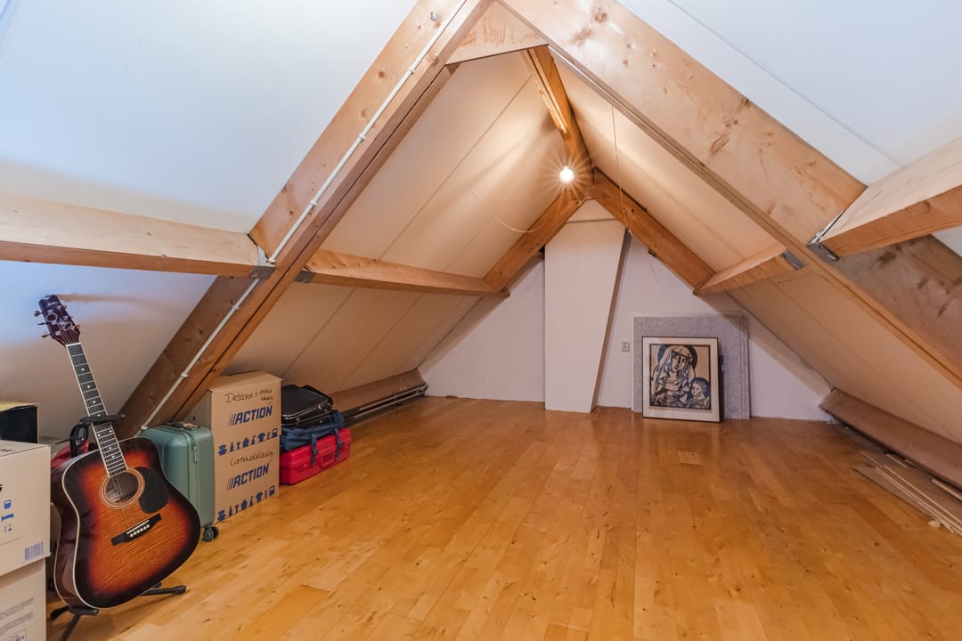 Foto 41 van Lupine 1