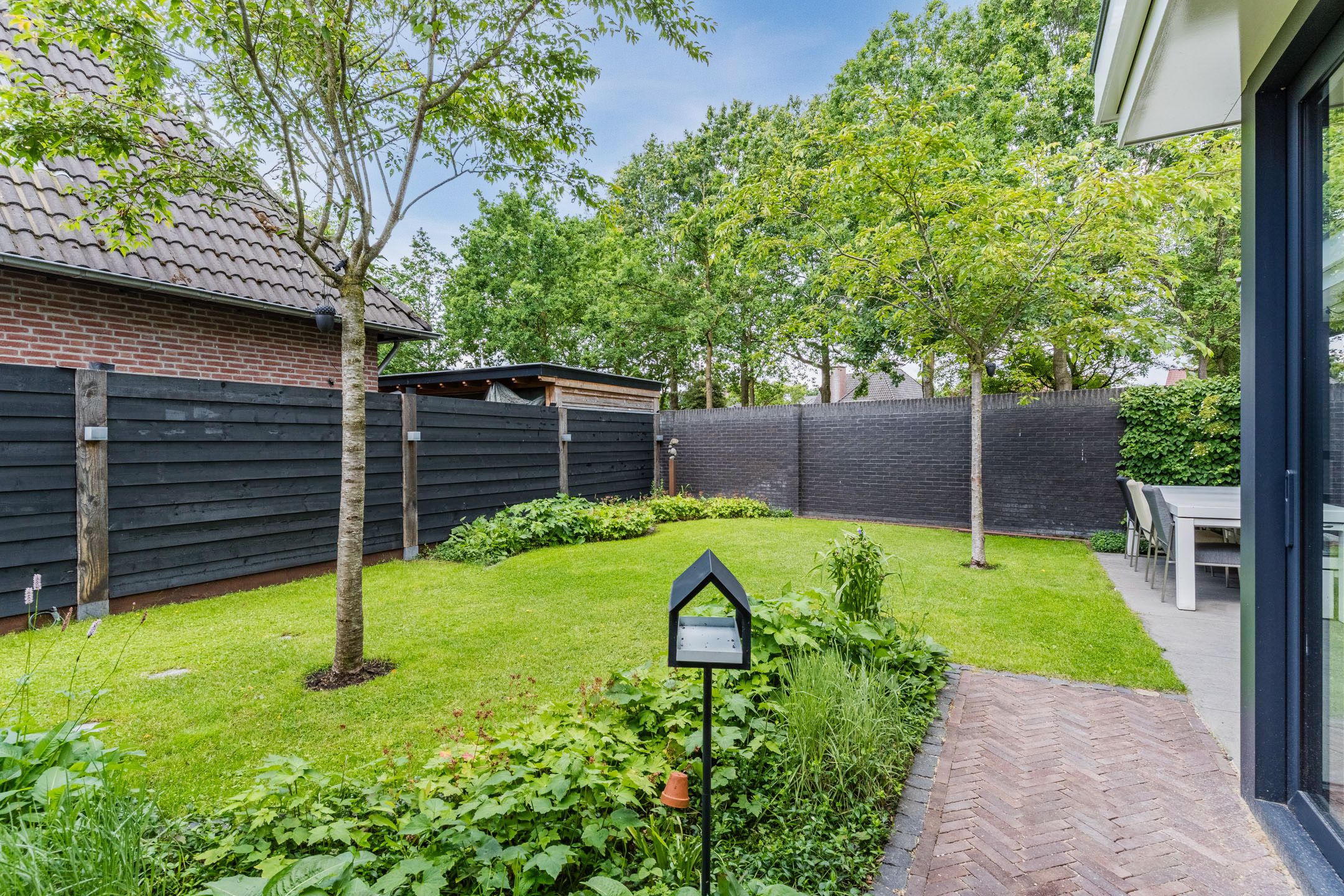 Foto 45 van Lupine 1