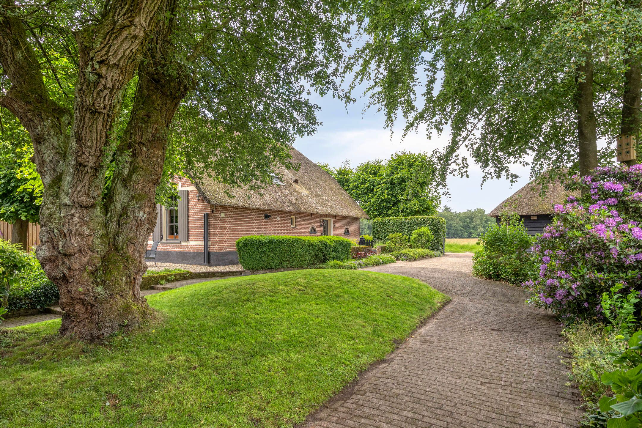 Foto 42 van Lage Veenweg 6