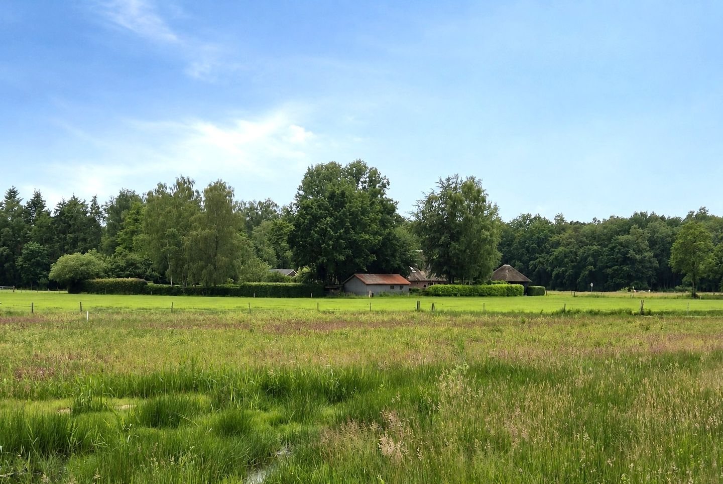 Foto 50 van Lage Veenweg 6