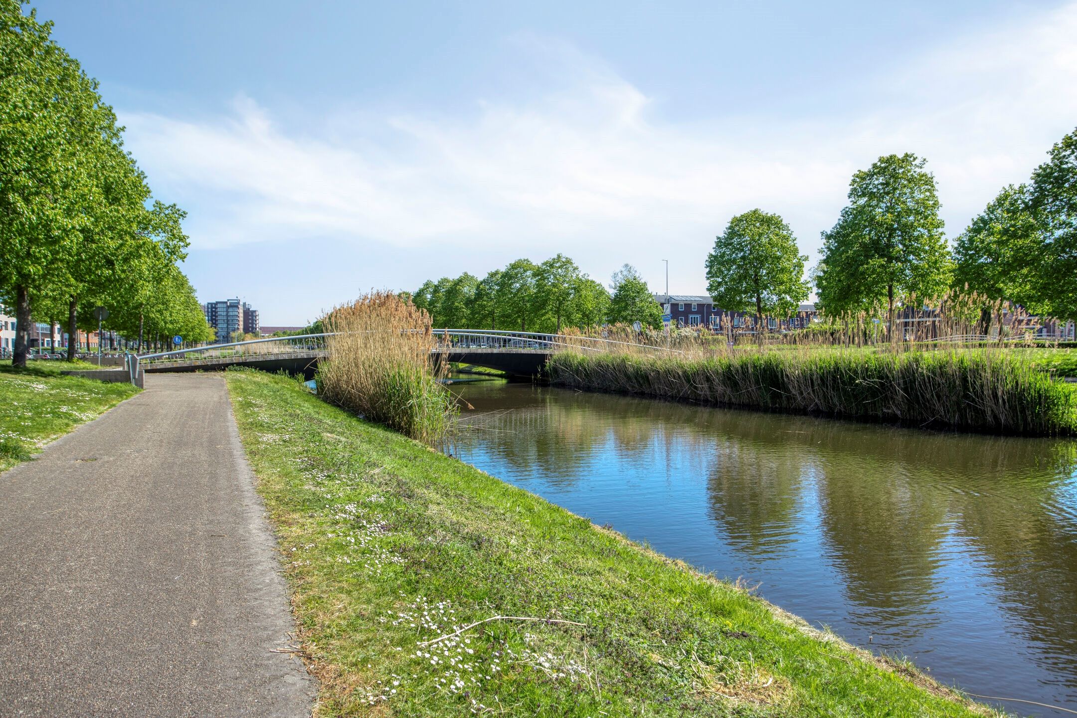 Foto 45 van Gilze-Rijenhof 3