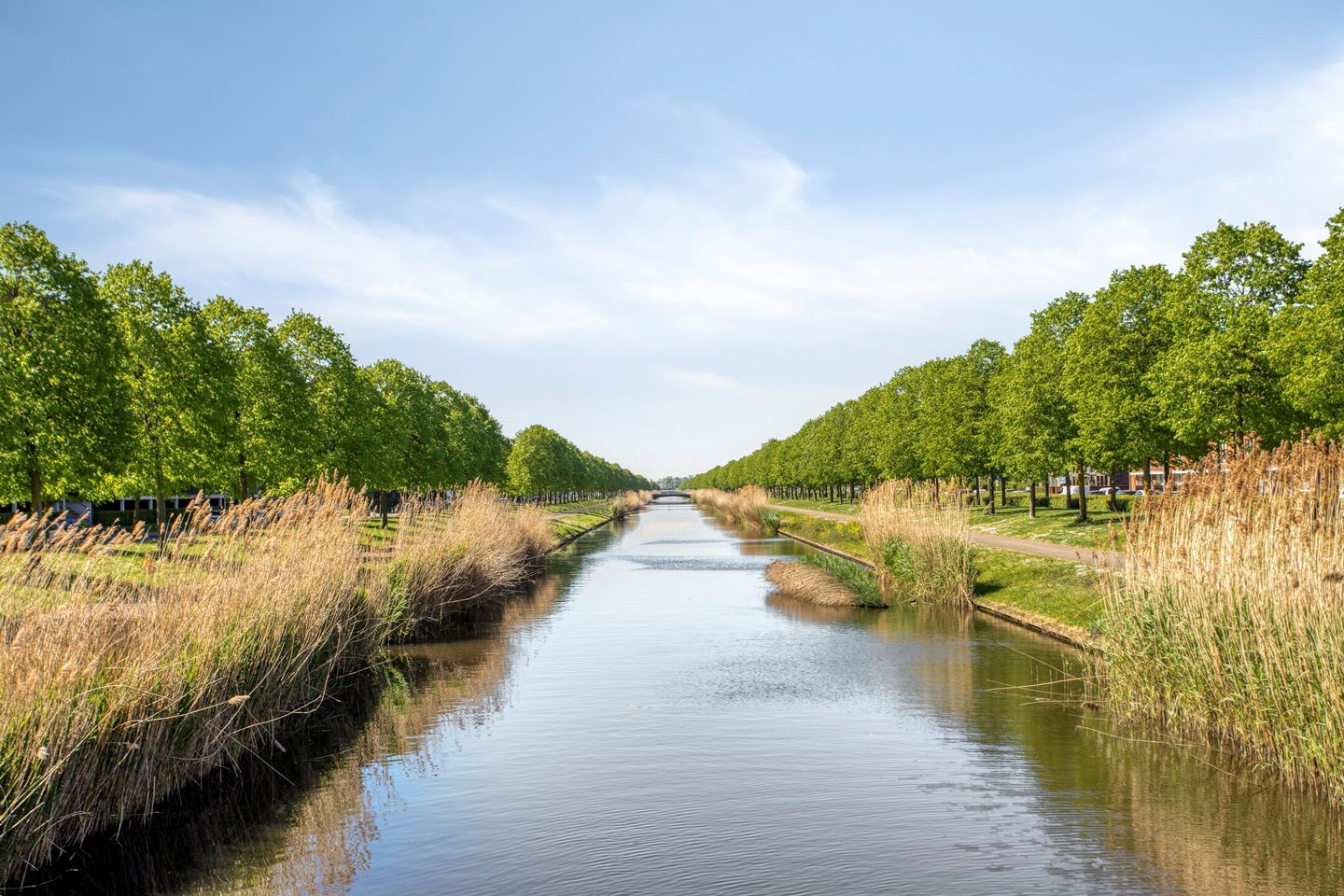 Foto 44 van Gilze-Rijenhof 3