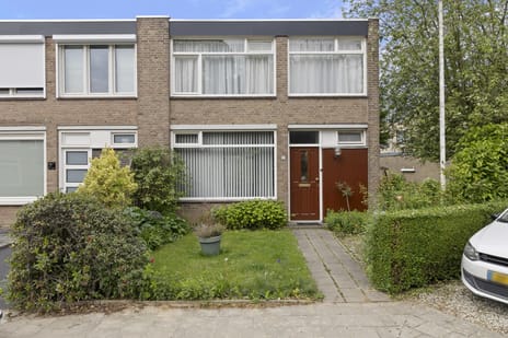 Boerhaavestraat thumbnail