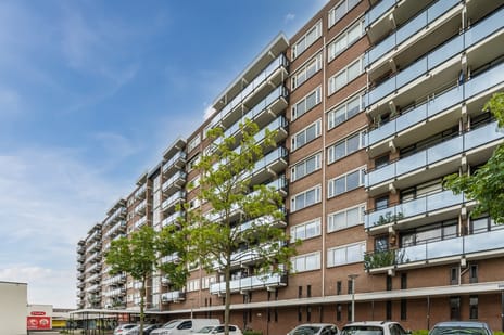 Nederlandplein thumbnail