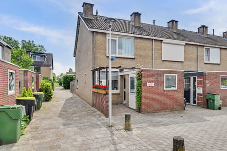 Rietgansstraat thumbnail