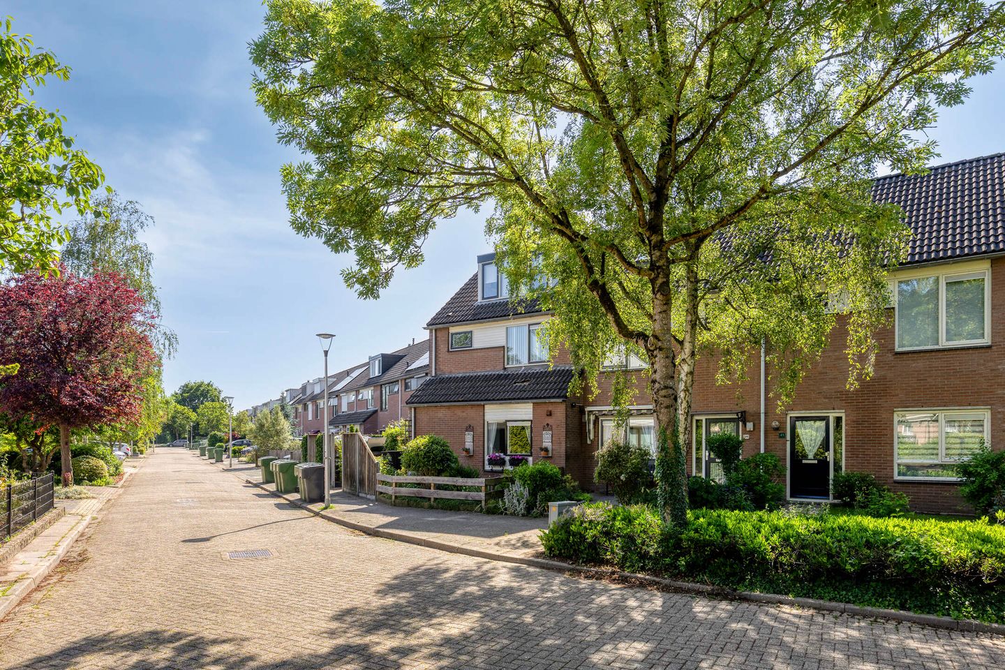 Foto 4 van Griendwerker 39