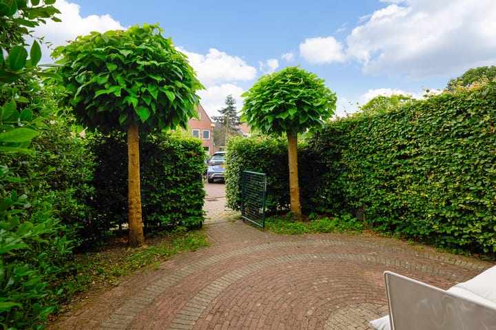Foto 5 van Willemserf 5