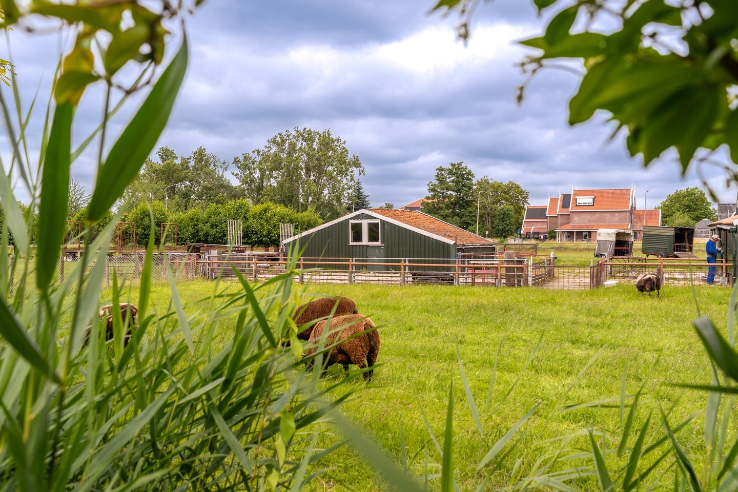 Foto 49 van Wittewerf 23