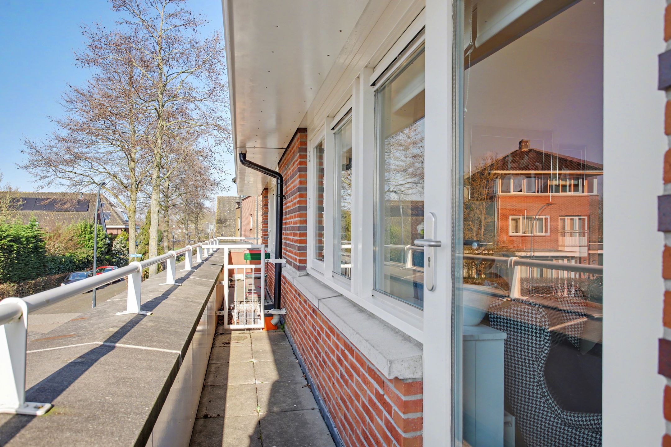 Foto 27 van het Zwin 14