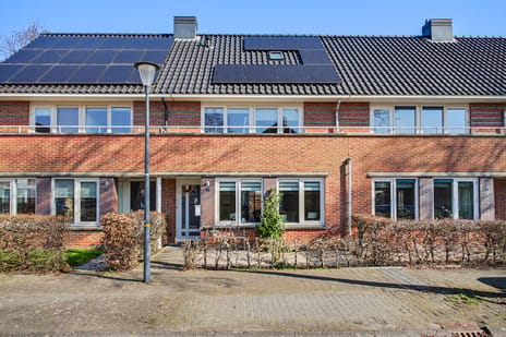 het Zwin thumbnail