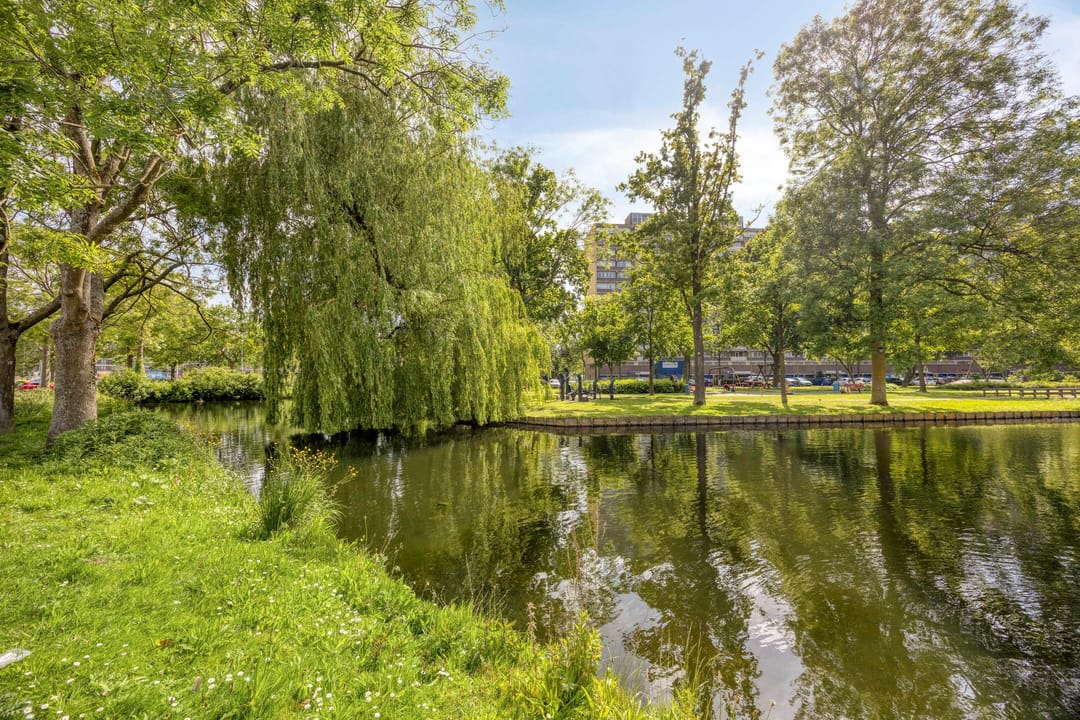 Photo 43 of Van Maerlantpark 1