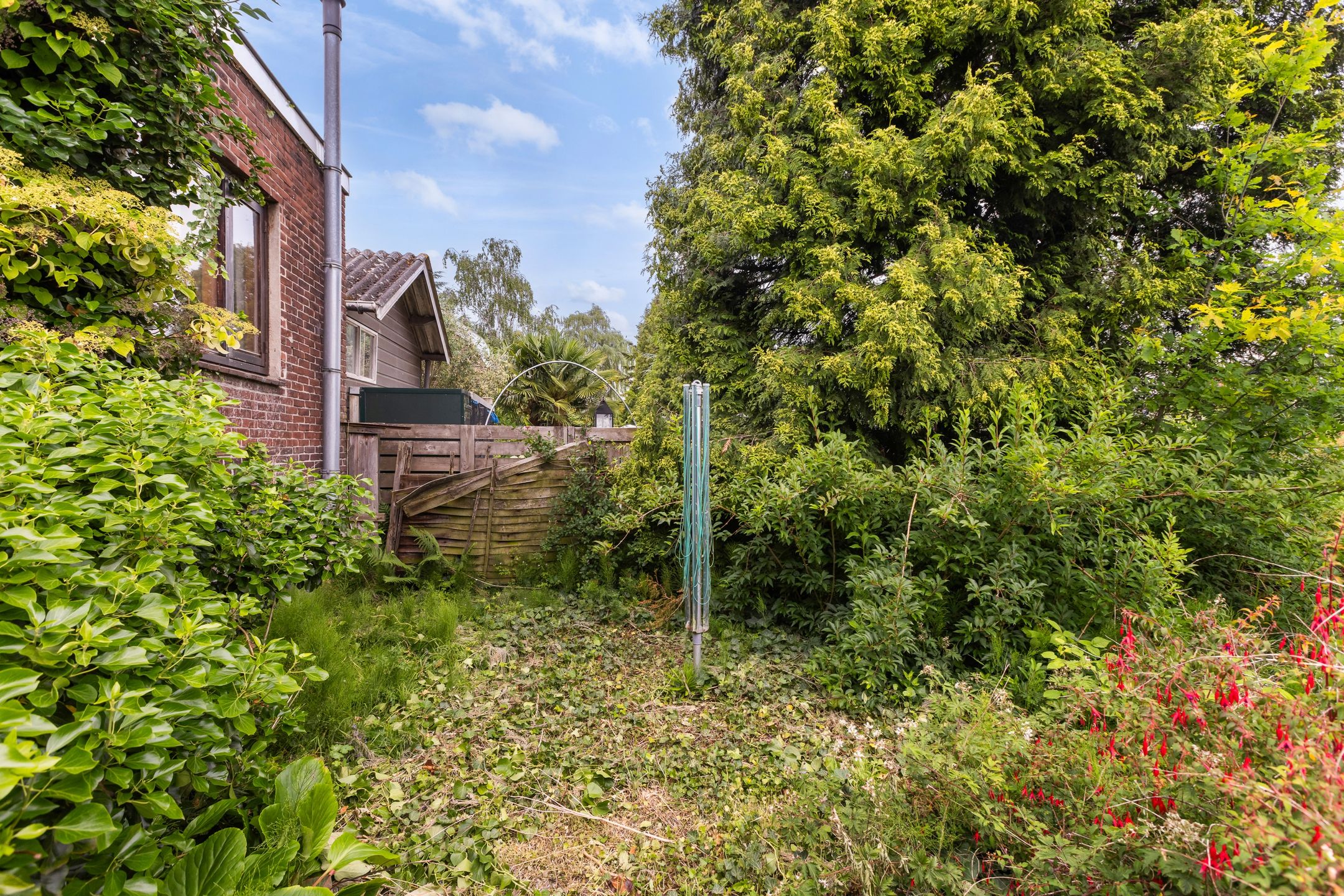 Photo 45 of Driehoefijzersstraat 29