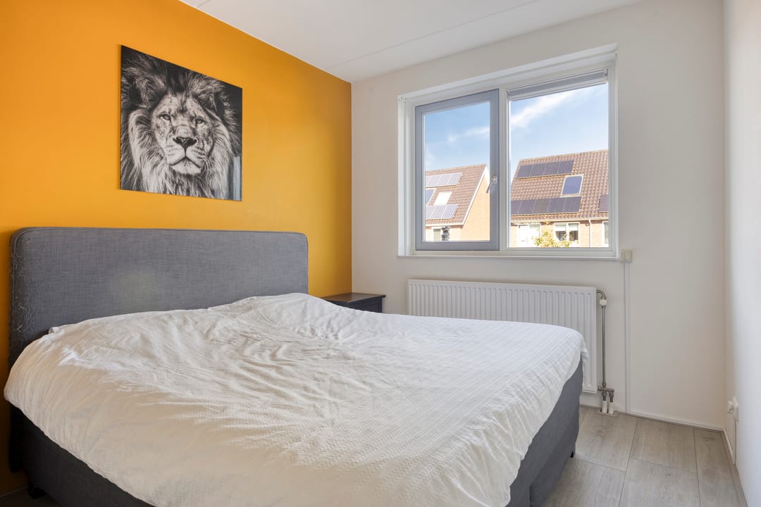 Photo 23 of Waard 17