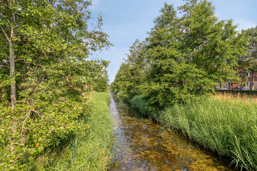 Photo 41 of Waard 17