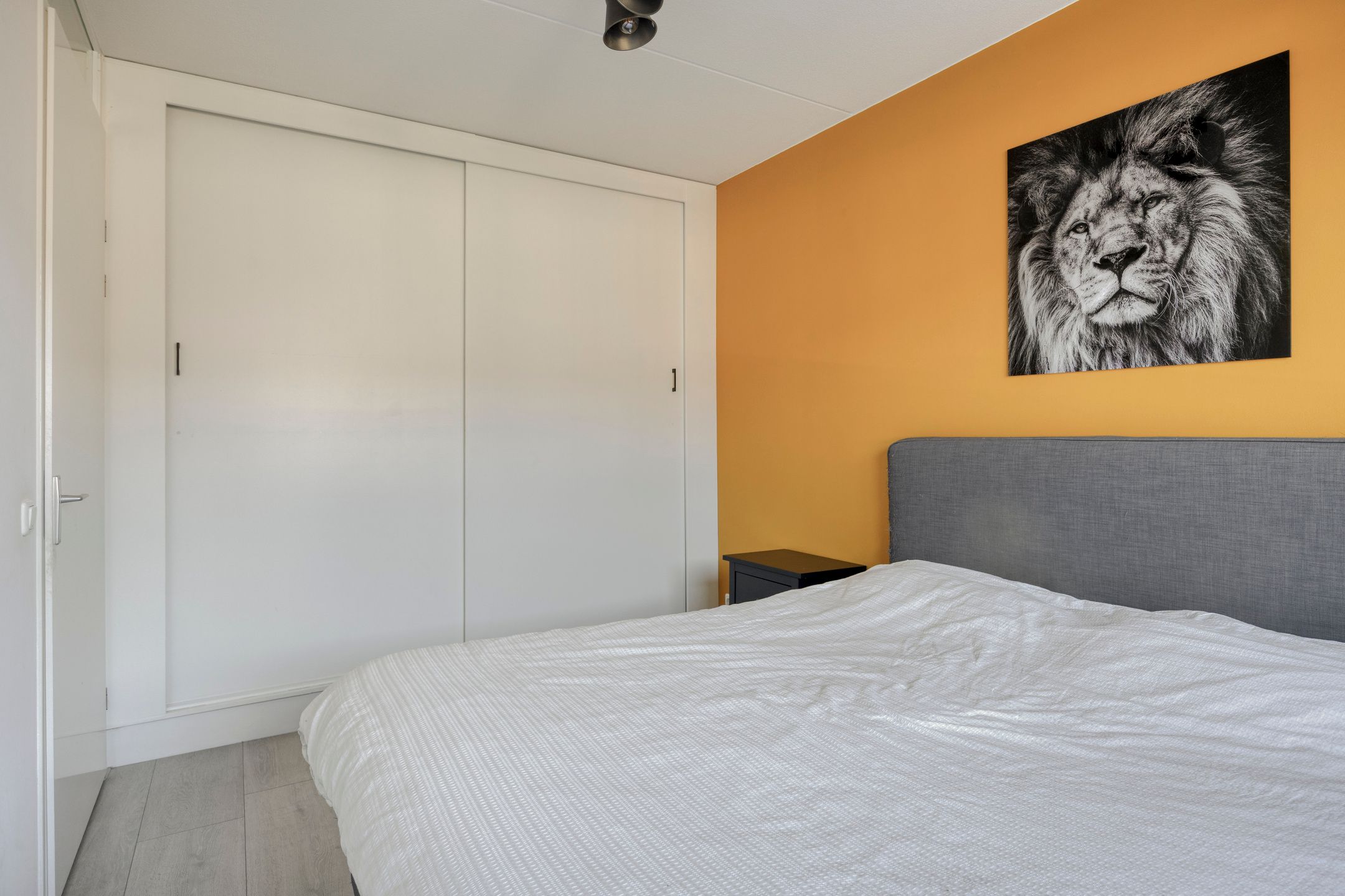 Photo 24 of Waard 17