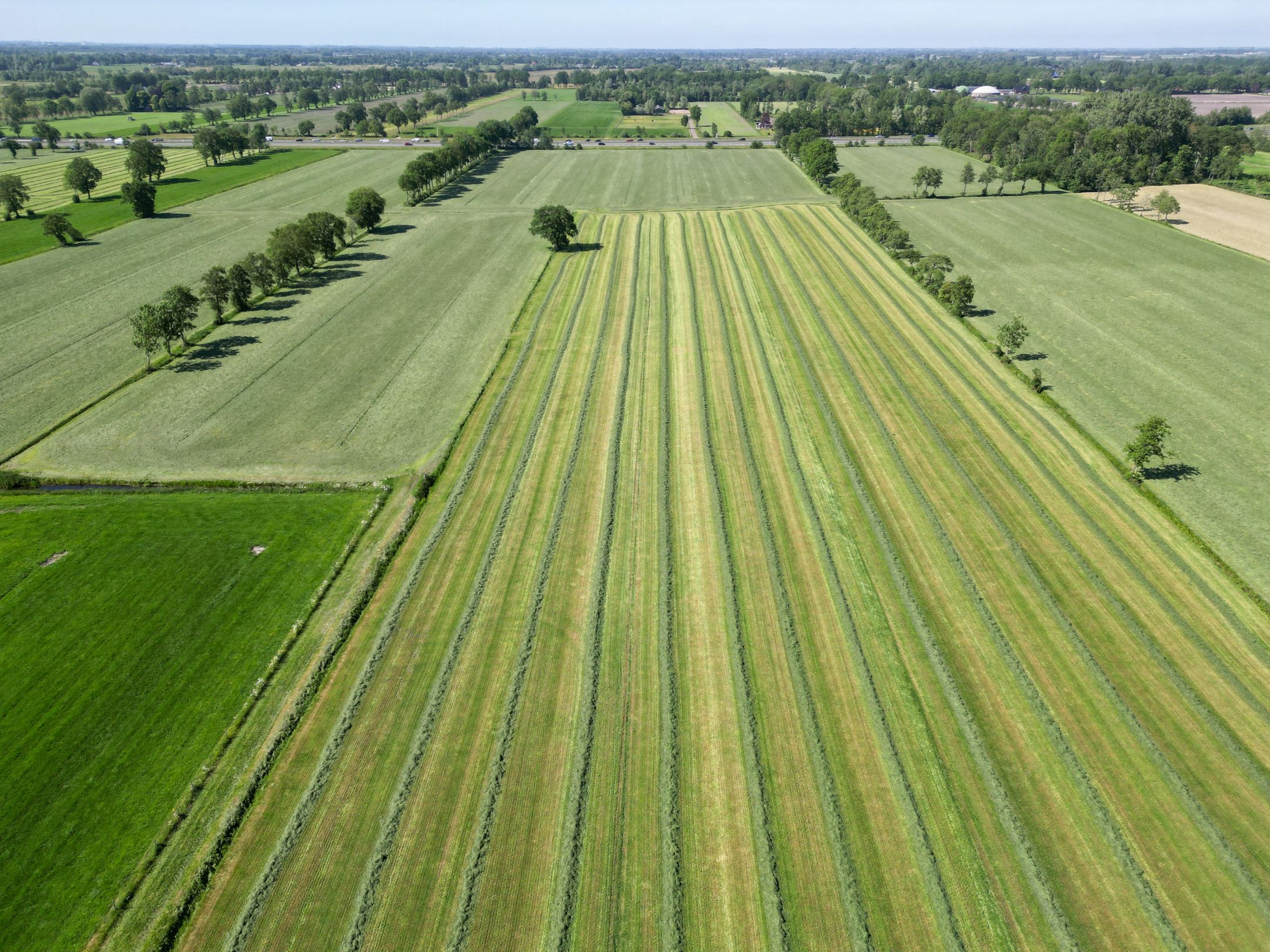 Photo 81 of Molenweg 64