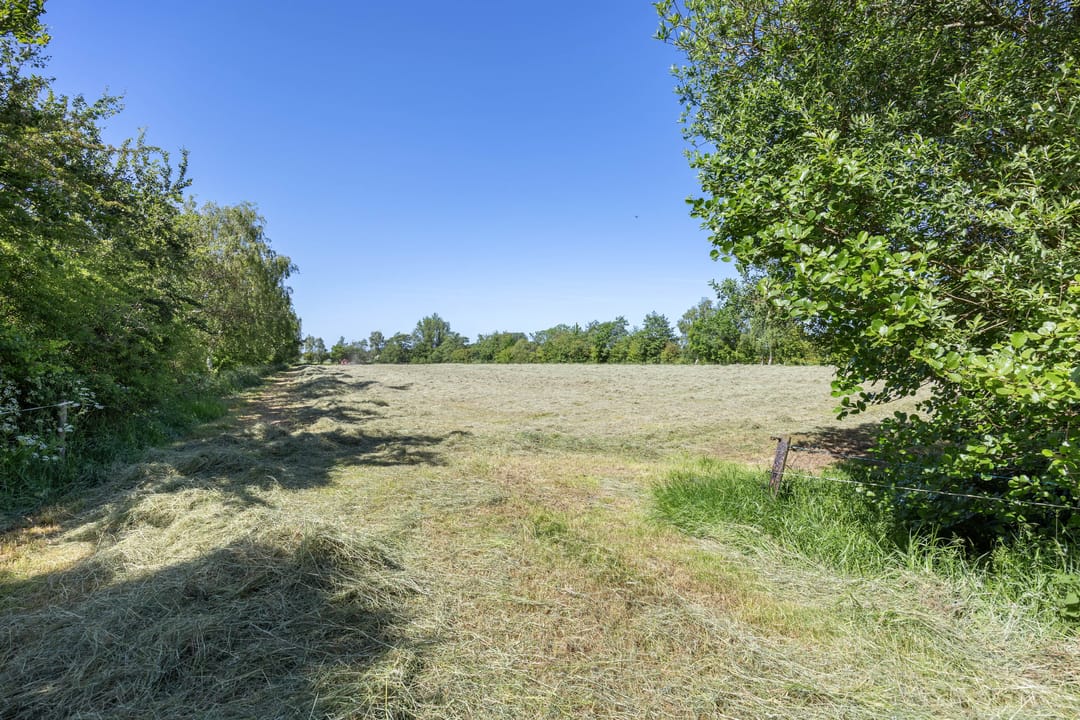 Photo 71 of Molenweg 64