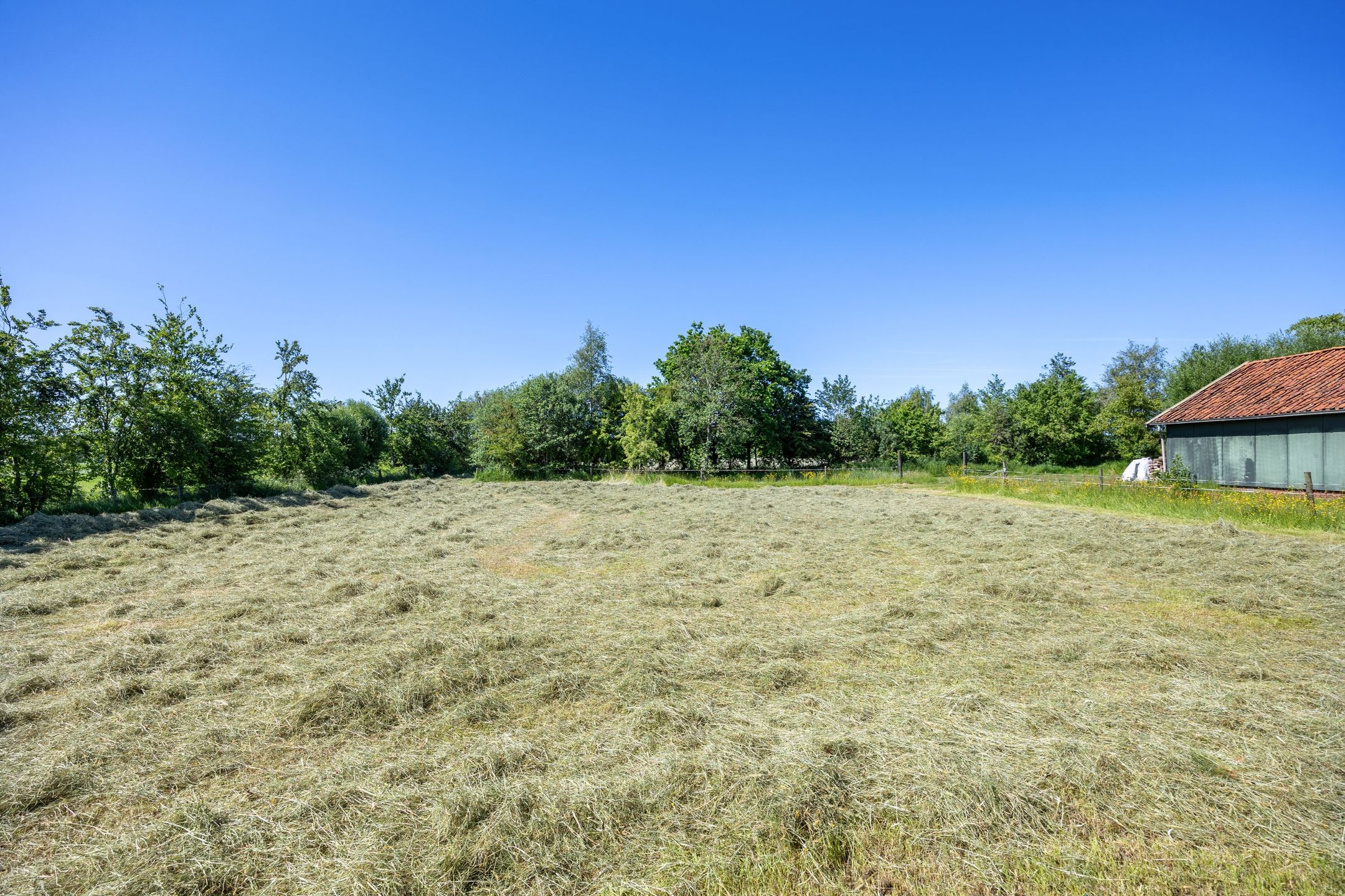 Photo 72 of Molenweg 64