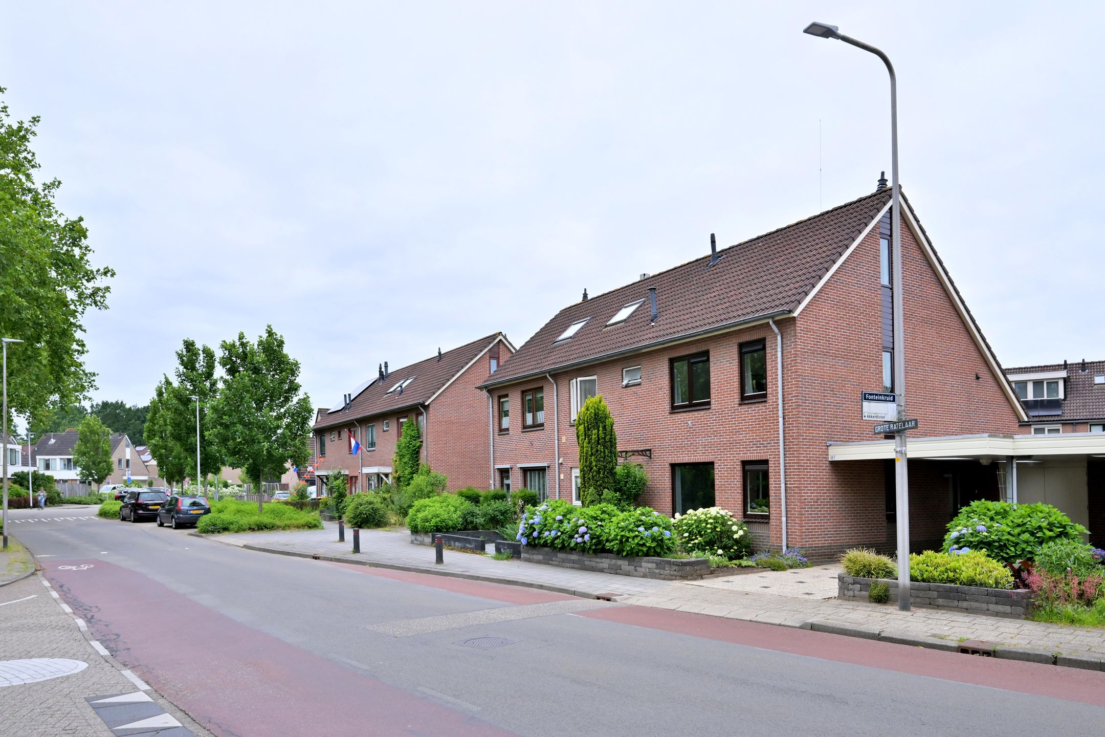 Foto 30 van Grote ratelaar 187