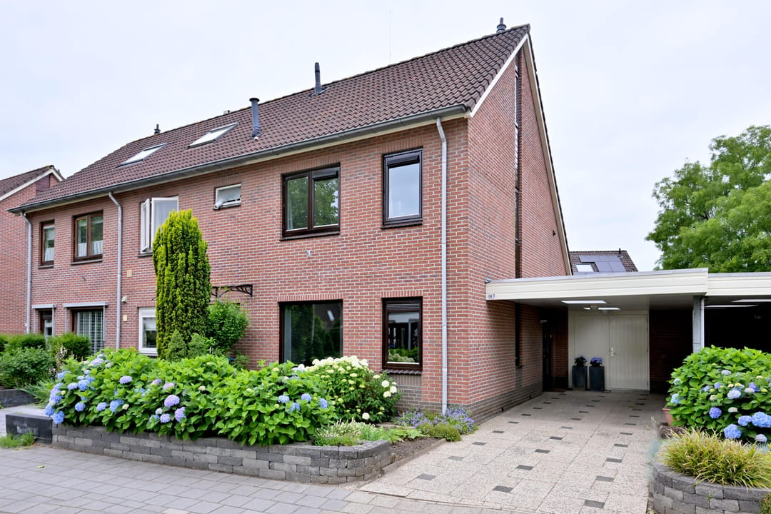Foto 1 van Grote ratelaar 187