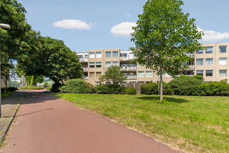S. van Ravesteynstraat thumbnail