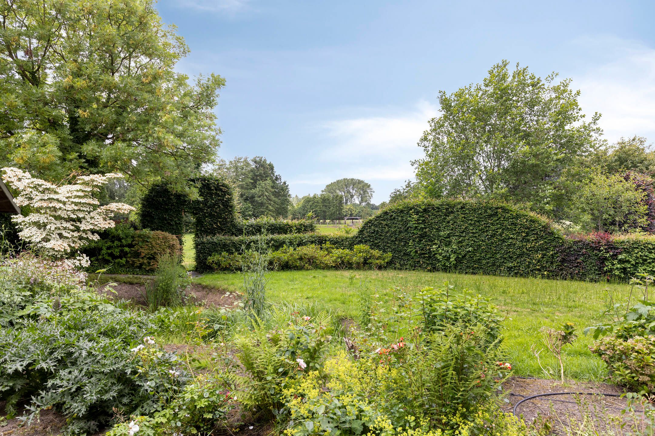 Photo 60 of Van Dedemlaan 19