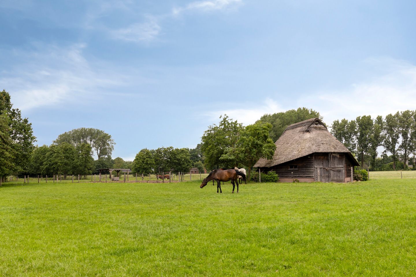 Photo 65 of Van Dedemlaan 19