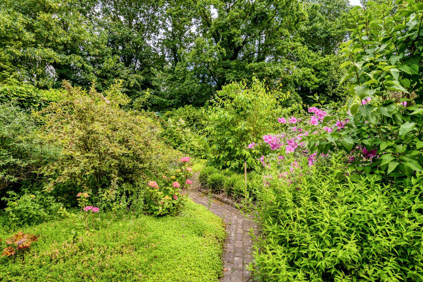 Photo 20 of Barisakker 62