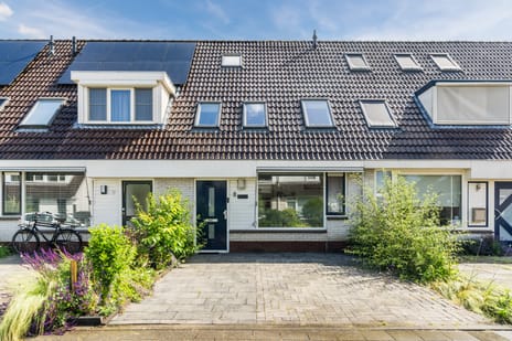 Boterbloem thumbnail