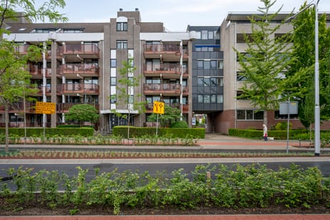 Wilhelminastraat thumbnail