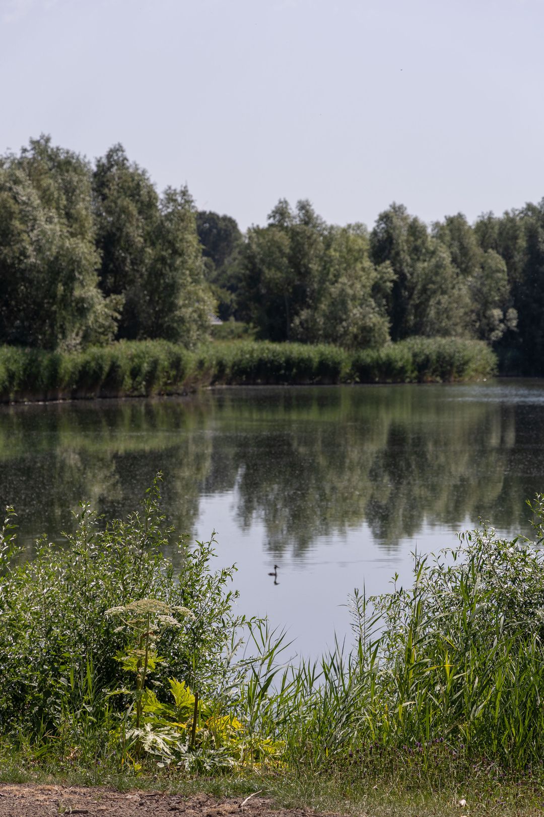 Photo 71 of Haagschelaan 7