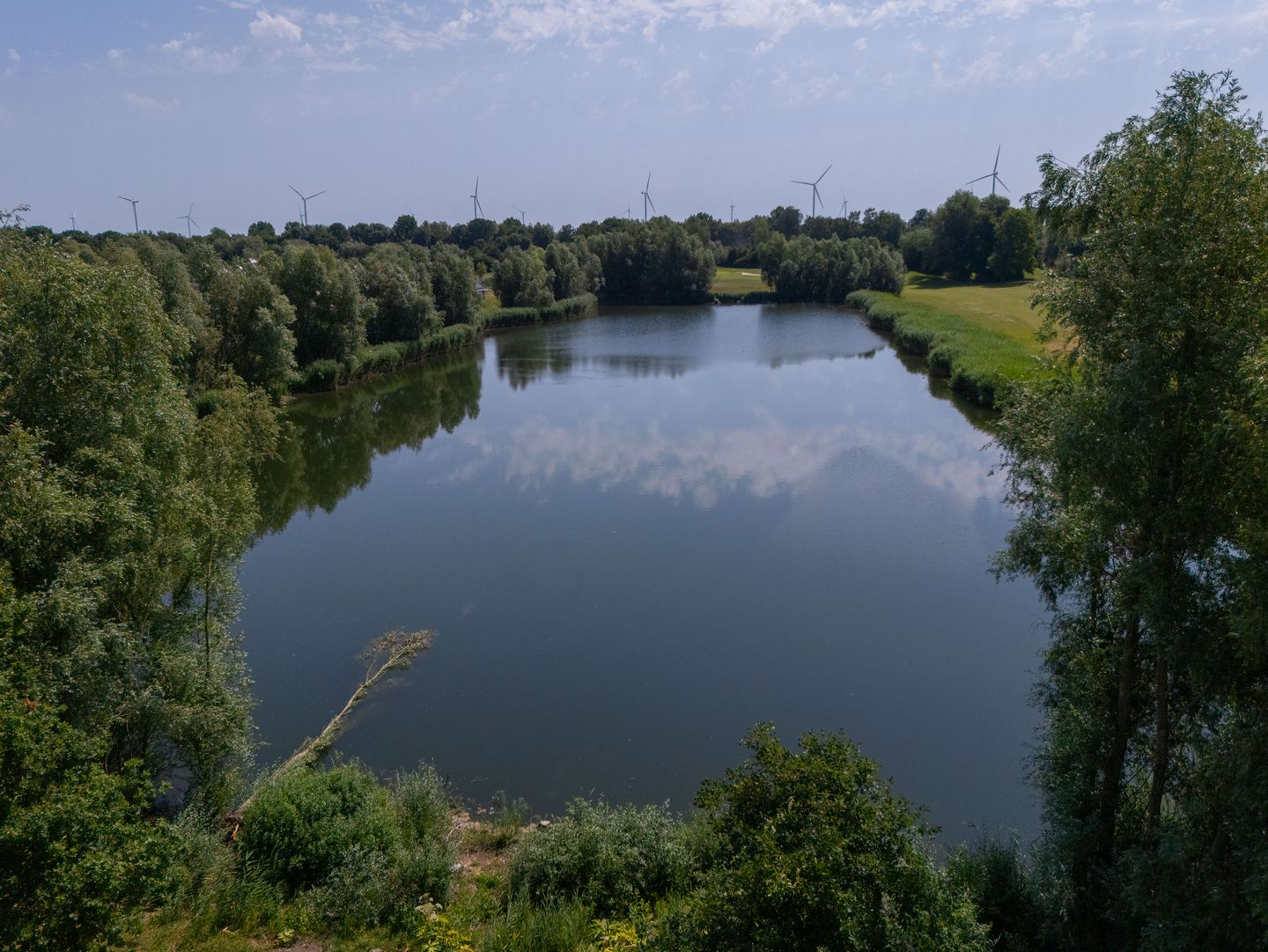 Photo 74 of Haagschelaan 7
