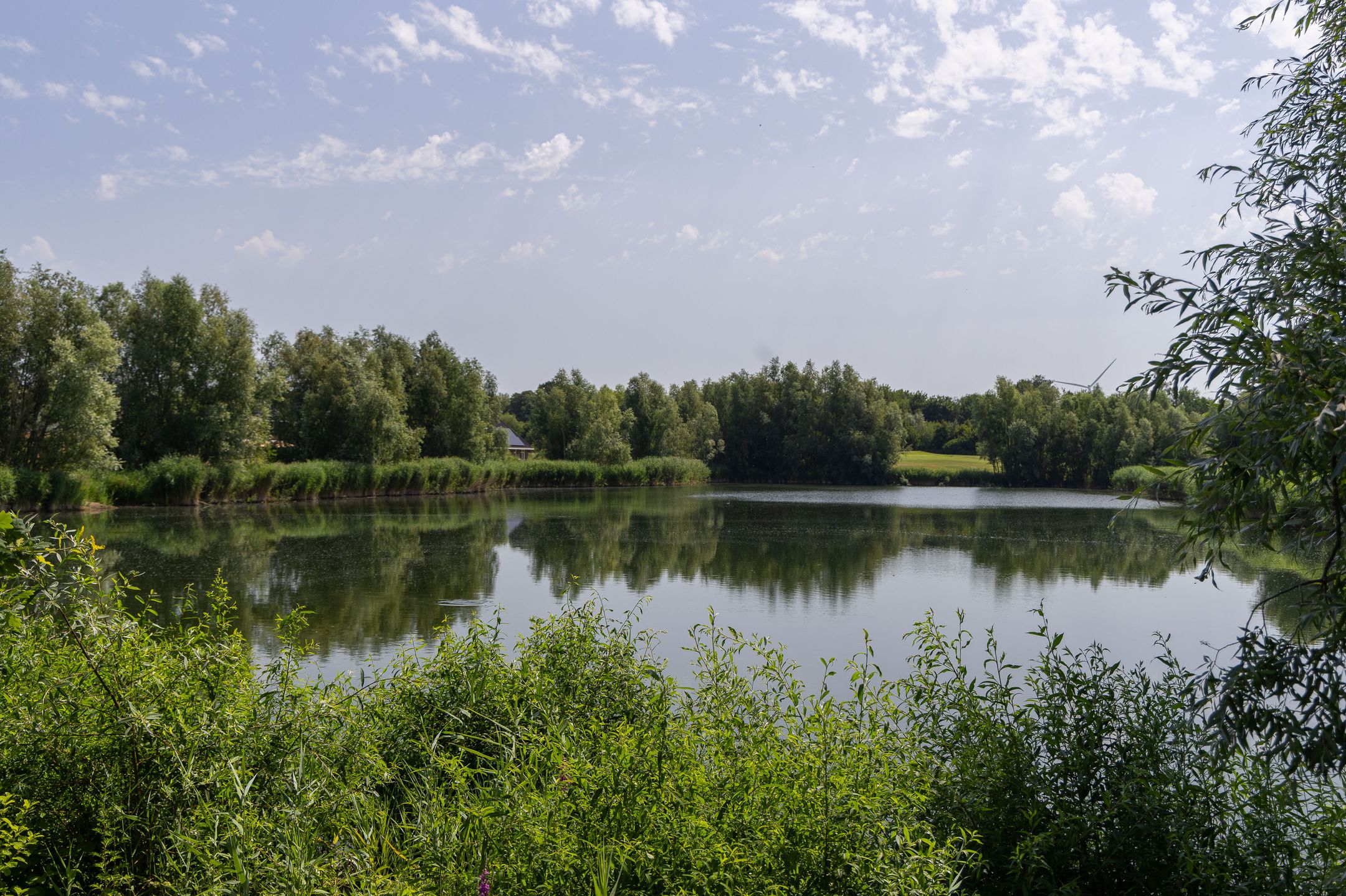 Photo 72 of Haagschelaan 7