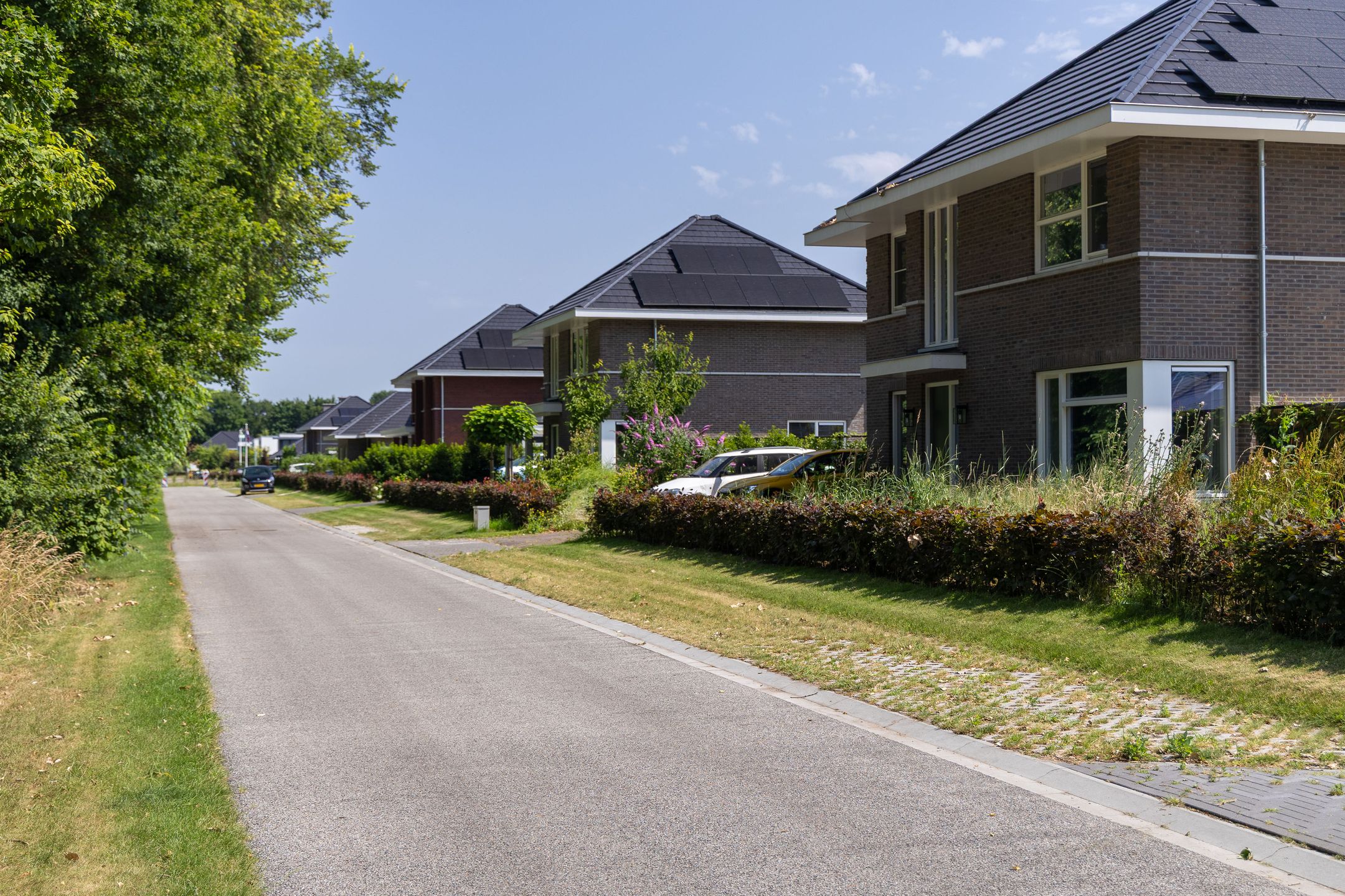 Photo 66 of Haagschelaan 7