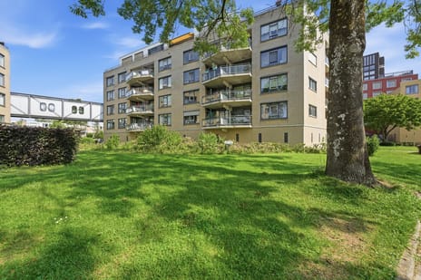 Boksdoornstraat thumbnail